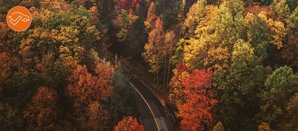 Kilometraje certificado